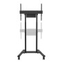 Elektrický pojazdný vozík Neomounts FL55-875BL1 37-100'' max 110KG, vesa 100x100-800x600 115,2cm-180,2cm